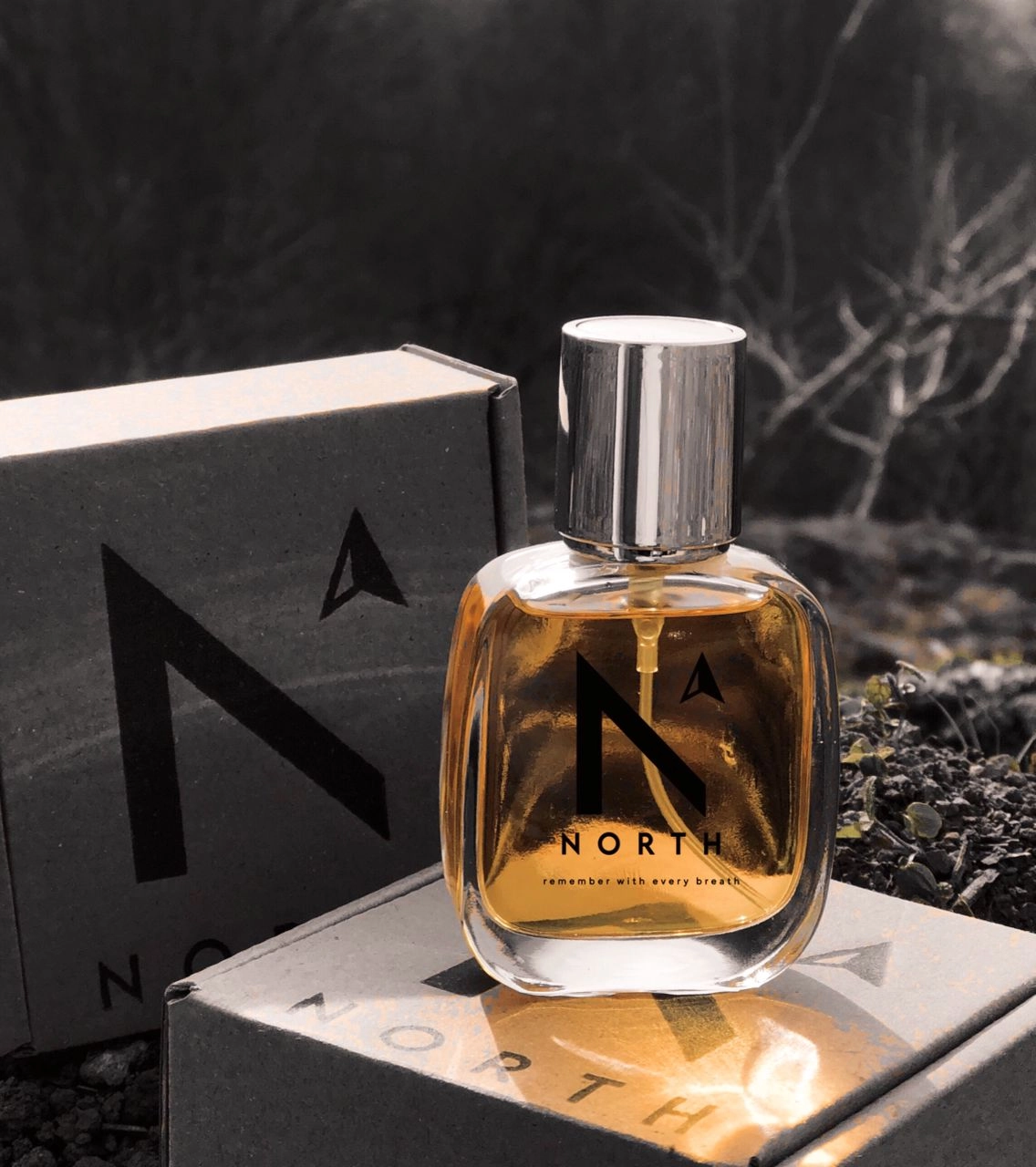 عطر مارلی گرینلی-Parfums de Marly Greenley - 10 میل